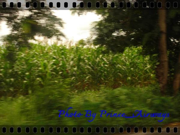 PADSC06103.JPG